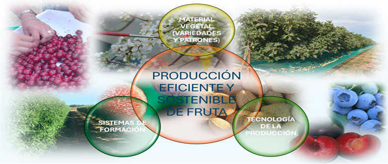 inura-investigación-linea-Producción-eficiente-y-sostenible